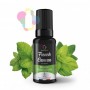 Menthe Chlorophylle - French Cancan