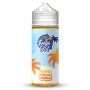 Ananas Mangue Orange 100ml - Fresh Hit